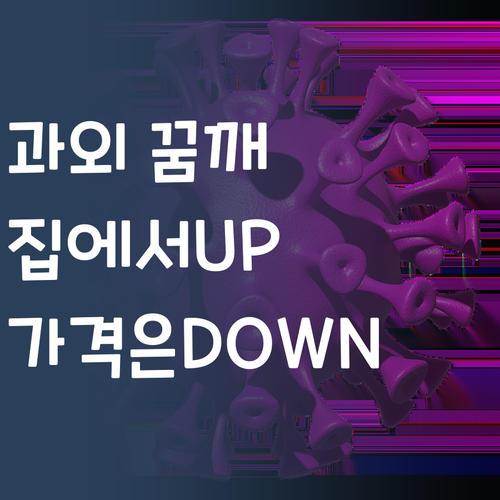 대치동 과외 꿈깨 1등급 언니가 집에서 퀄리티UP 가격은 DOWN!