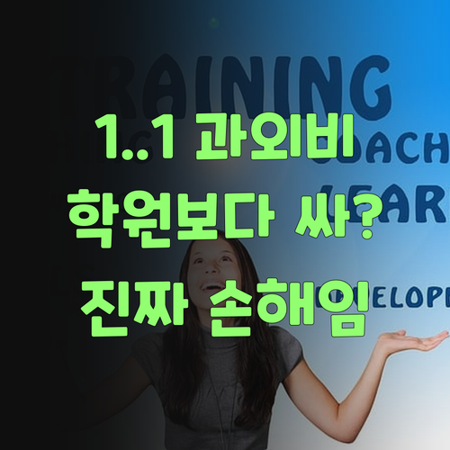 1:1 과외인데 학원보다 싸다요? 퍼스널멘토, 안 쓰면 손해랑께 진짜루..