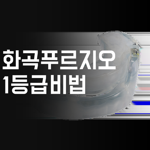 화곡푸르지오 국어 과외, 너만 몰랐어? 1등급 비법 긴급 공개!