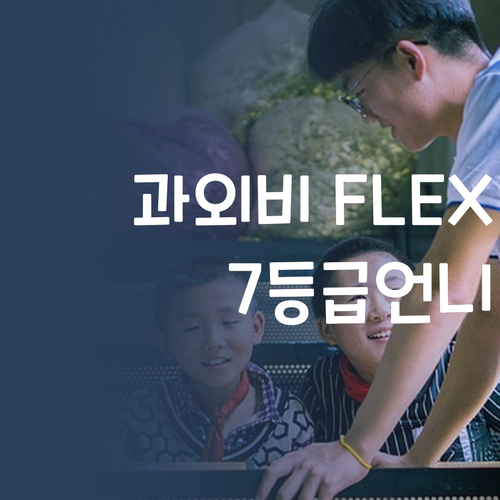과외비 아껴서 FLEX 퍼스널멘토, 7등급 언니가 추천하는 이유!