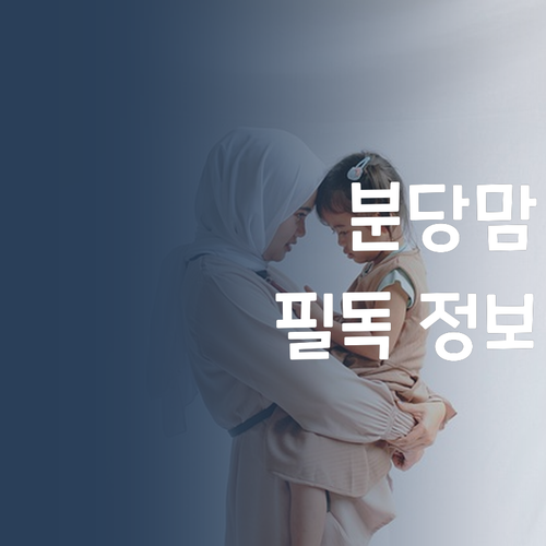 분당맘 주목! 비싼 과외 말고 퍼스널멘토 어때요?