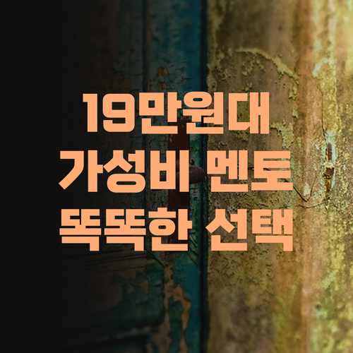 주 2회 19만원대? 퍼스널 멘토 가성비 갑! 비싼 과외는 이제 그만! 똑똑한 선택이라예..