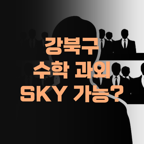 강북구 금호어울림 학생 필승 온라인 수학 과외로 SKY?