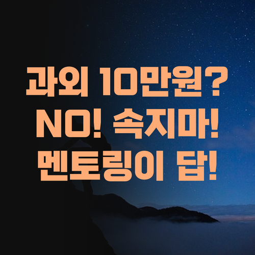 10만원대 과외? 속지 마라! 퍼스널멘토 1:1 수업이 진짜 가성비 갑이다!..