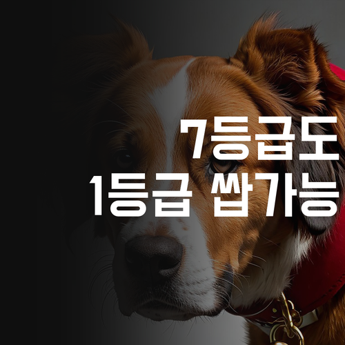 방화동 고딩 필독 7등급 과학, 1등급 쌉가능? 멘토 언니가 알려줄게