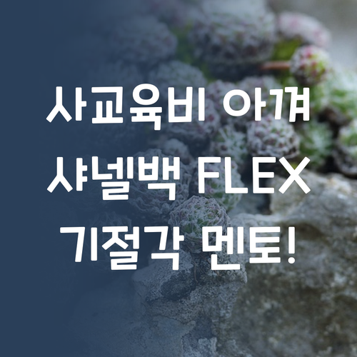사교육비 아껴서 샤넬백?! 퍼스널멘토 가격 듣고 기절각! ㅋ