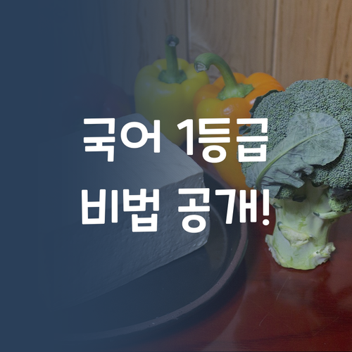 대구, 해운대 맘들 주목! 초등 국어 1등급 비법, 과외비 부담 없이?