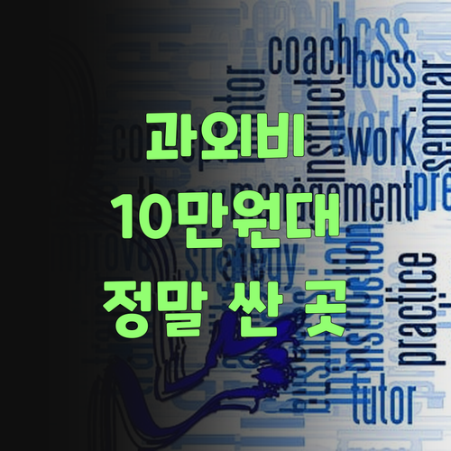 10만원대 과외? 속지 마! 진짜 싼 곳은 요기라니까?..