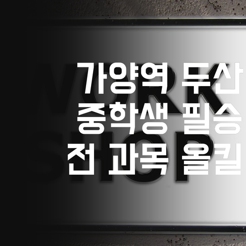 가양역두산위브 중학생 필승법 1:1 화상 과외로 전 과목 올킬!