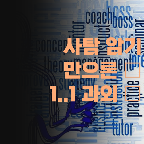 사회, 개념 암기만으론 택도 없다! 1:1 맞춤 과외로 진짜 실력 키우자..