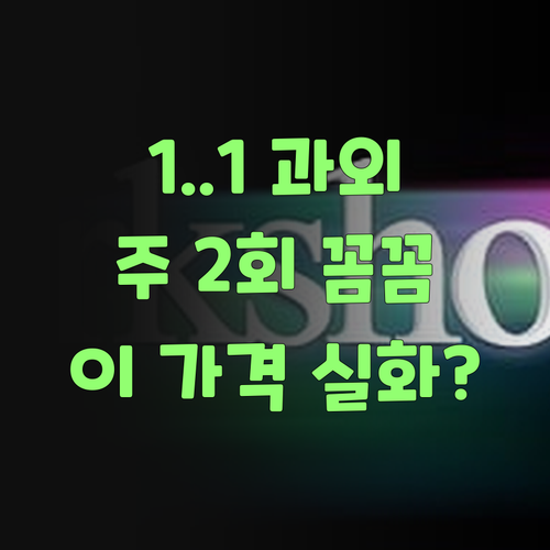 퍼스널멘토 1:1 과외? 주 2회 수업에 꼼꼼 리포트까지? 이 가격 실화여?..