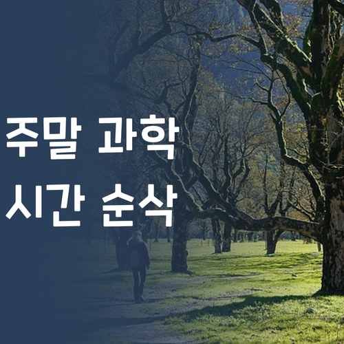 시간 순삭! 주말 과학 공부, 이렇게 재밌어도 되는 거임? 😜 (feat. 멘토)
