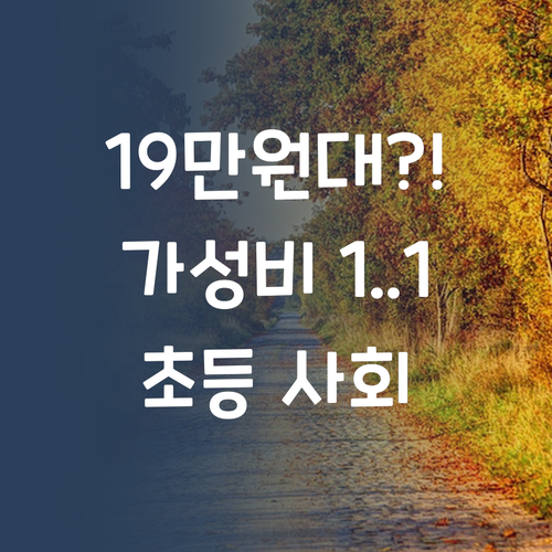 19만원대?! 광주 서구 초등 사회, 가성비 1:1 화상과외 시작!