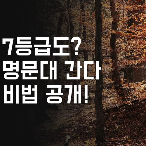 신마곡 고등수학, 7등급도 명문대? 퍼스널멘토가 비법 알려줄게.. 😉