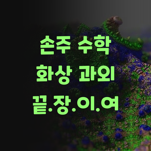 우리 손주 수학, 이젠 퍼스널멘토 화상과외로 끝장이여..