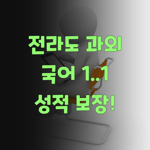 전라도) 퍼스널멘토 1:1 과외? 국어 성적, 문제 없당께!