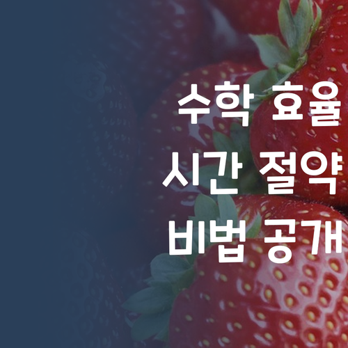 시간은 금! 수학 효율 높이는 비법, 퍼스널멘토에 다 있대! 🤓