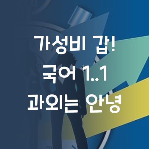 가성비 갑! 퍼스널멘토 1:1 화상 국어, 학원 과외 이제 안녕