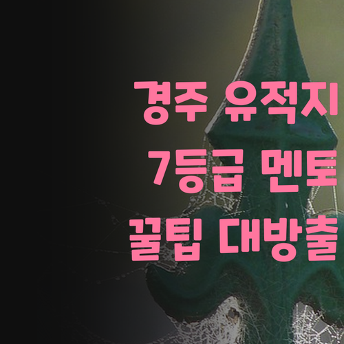 경주 유적지 완전 정복! 7등급 멘토의 문화재급 꿀팁 대방출
