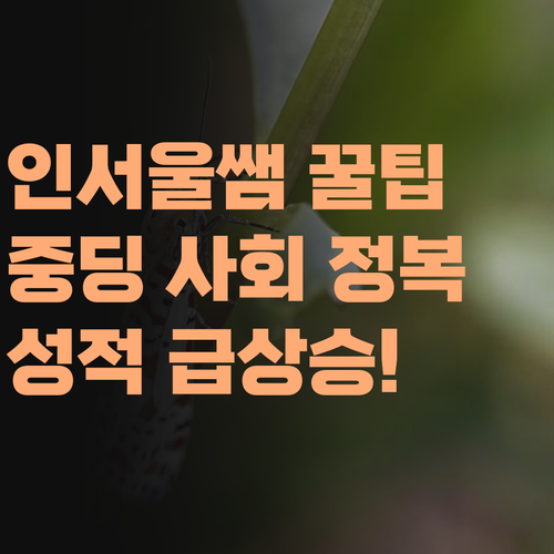 인서울 쌤이 콕 찝어주는 중딩 사회 공부법! 1:1 과외로 성적 올리는 비법 대방출! 따라만 오소..