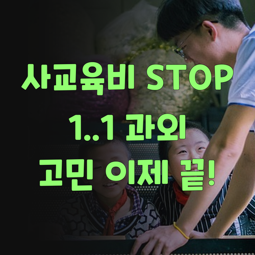 사교육비 걱정 끝! 퍼스널멘토 1:1 과외가 쵝오여..