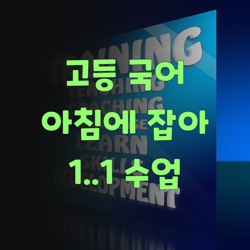 고등 국어, 아침에 잡아야 쓰겄다! 퍼스널멘토 1:1 수업이 답이여..