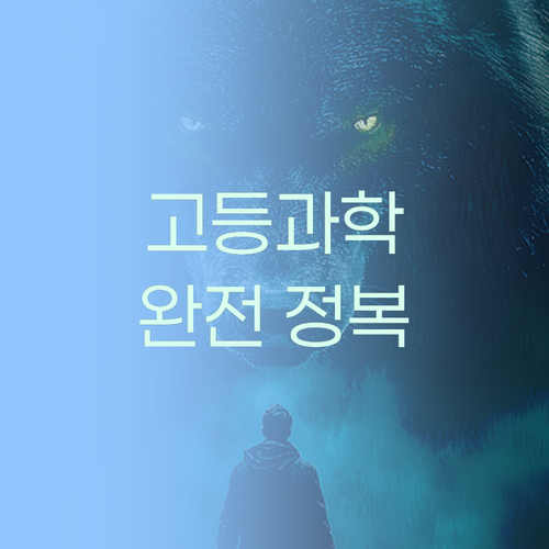 가성비 갑! 퍼스널멘토 1:1 과외로 고등과학 완전 정복 스토리