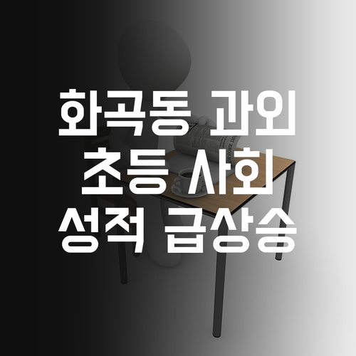 화곡동 초등 사회 SOS! 1:1 맞춤 과외로 해결, 성적 급상승!