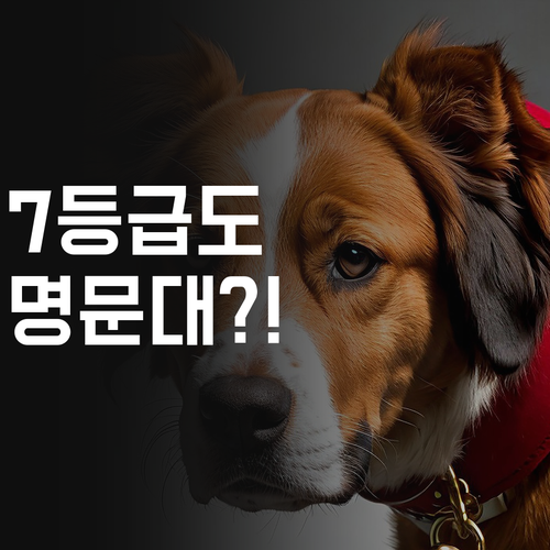 염창동 현대1차 사회 과외, 7등급도 명문대? 비법 공개!