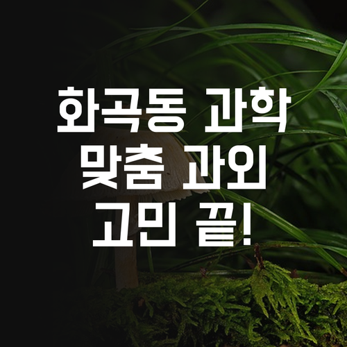 화곡동 과학, 이제 1:1 과외로 고민 끝 행복 시작