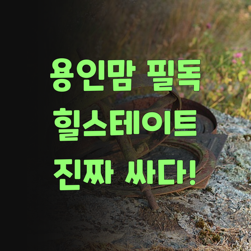 아따, 용인 영통 힐스테이트 맘덜! 퍼스널멘토, 진짜 싸고 뭣이 중헌디 알게 될 거요!..