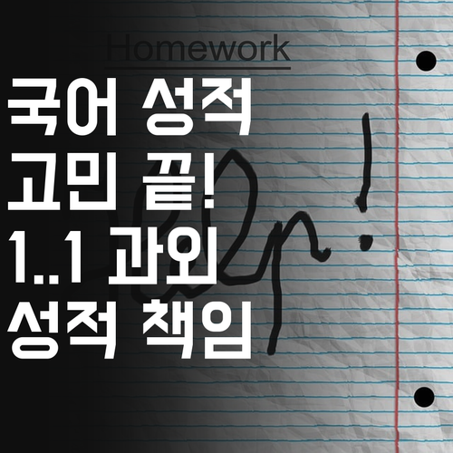 국어 성적 고민 끝! 방화동 1:1 화상 과외, 성적향상 책임 보장!