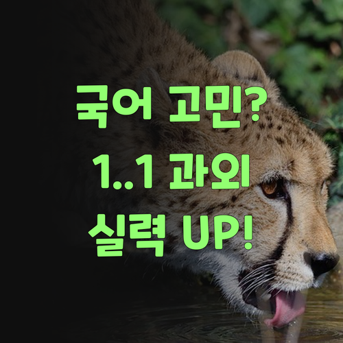 국어 학원 고민 끝! 퍼스널멘토 1:1 과외로 실력 팍 늘려보자!..