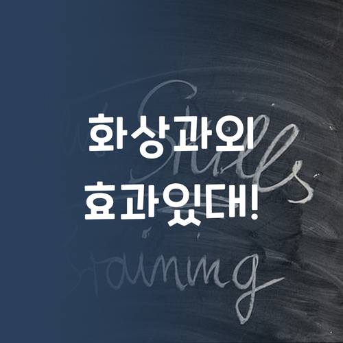 무방문 1:1 화상 과외 퍼스널멘토 효과 있대!