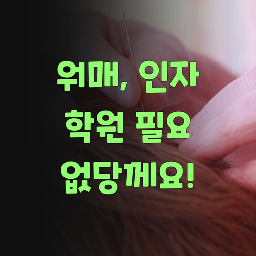 워매, 퍼스널멘토! 비싼 학원, 과외 이제 다 필요 없당께요..