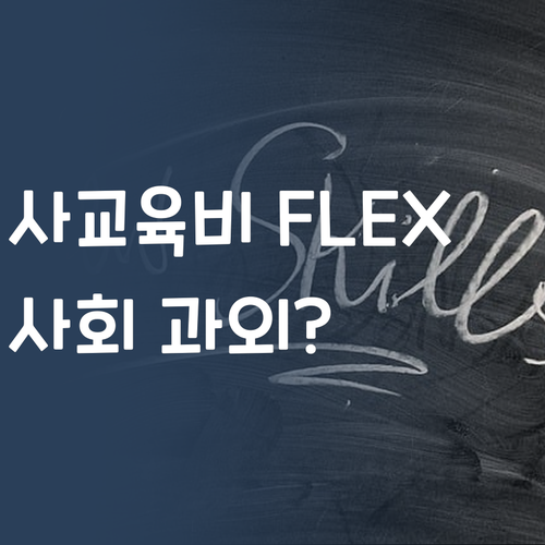 사교육비 아껴서 FLEX! 퍼스널멘토 사회 과외, 실화임?