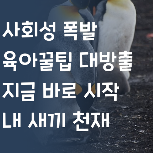 내 새끼 사회 천재 만들기 프로젝트 지금 시작