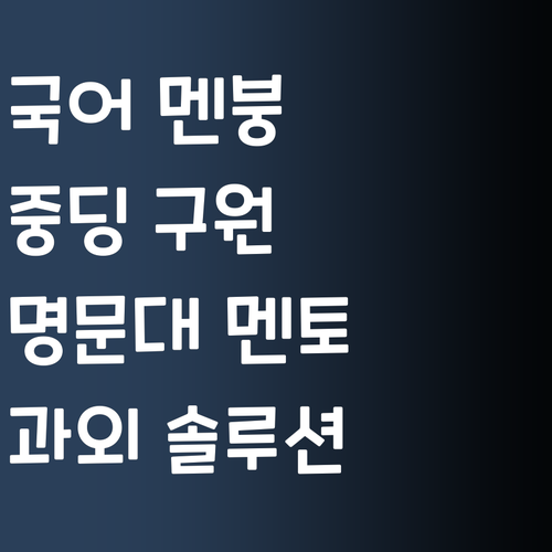 국어 멘붕 온 중딩 구원기! 명문대 멘토의 퍼스널 과외 솔루션, 궁금해?!
