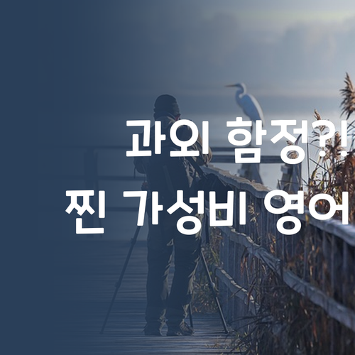10만원대 과외 함정?! 퍼스널멘토 언니가 알려주는 찐 가성비 영어!