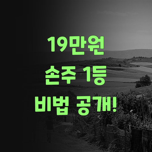 우리 손주 1등 비법! 퍼스널멘토 19만원의 기적이여..