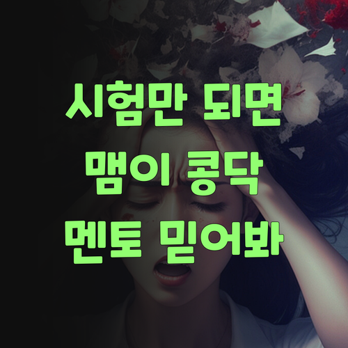 우리 아그 시험만 묜 맴이 콩닥거린다요? 퍼스널멘토 믿어보랑께..