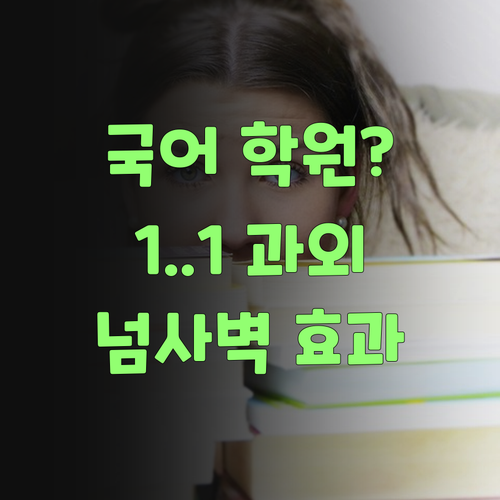 국어 학원? 댓츠 노노! 퍼스널멘토 1:1 과외가 짱이여..