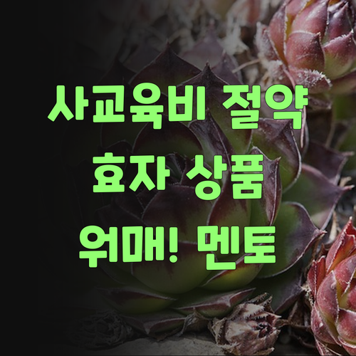 워매! 퍼스널멘토 덕에 사교육비 절약, 효자 상품이요!