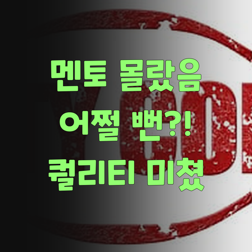 퍼스널멘토 몰랐으면 어쩔 뻔! 이 가격에 이런 퀄리티라니..