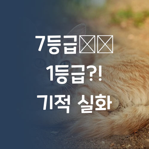 핵꿀팁 공개! 퍼스널멘토 쌤과 중학생 수학 검정고시, 7등급에서 1등급 신화 도전!