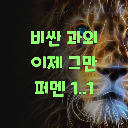 워매, 비싼 과외는 이제 그만! 퍼스널멘토 1:1 화상 과외가 답이여..