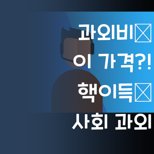 화상 과외, 이 가격 실화?! 퍼스널멘토 사회 과외 핵이득!