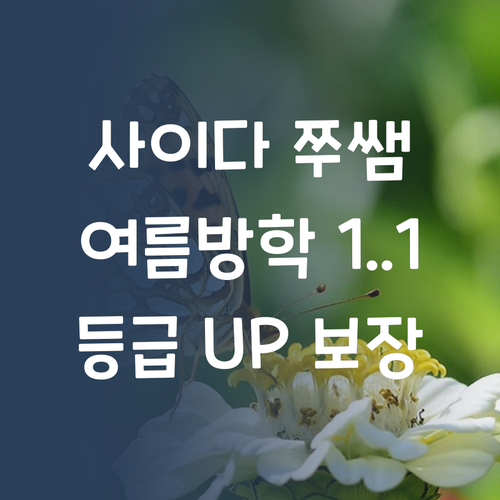 사이다 쭈야쌤의 과학 과외! 여름방학에 1:1로 등급 올려버리기, 어때?
