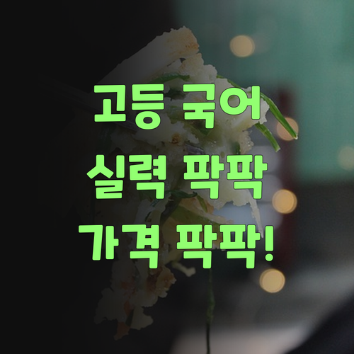 고등 국어, 퍼스널멘토로 실력 팍! 가격 팍! 낮춰보자잉..