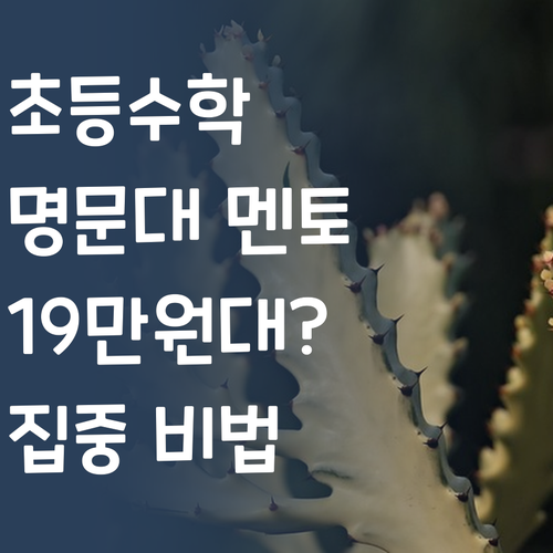 명문대 멘토의 초등수학 집중 비법! 19만원대 실화?